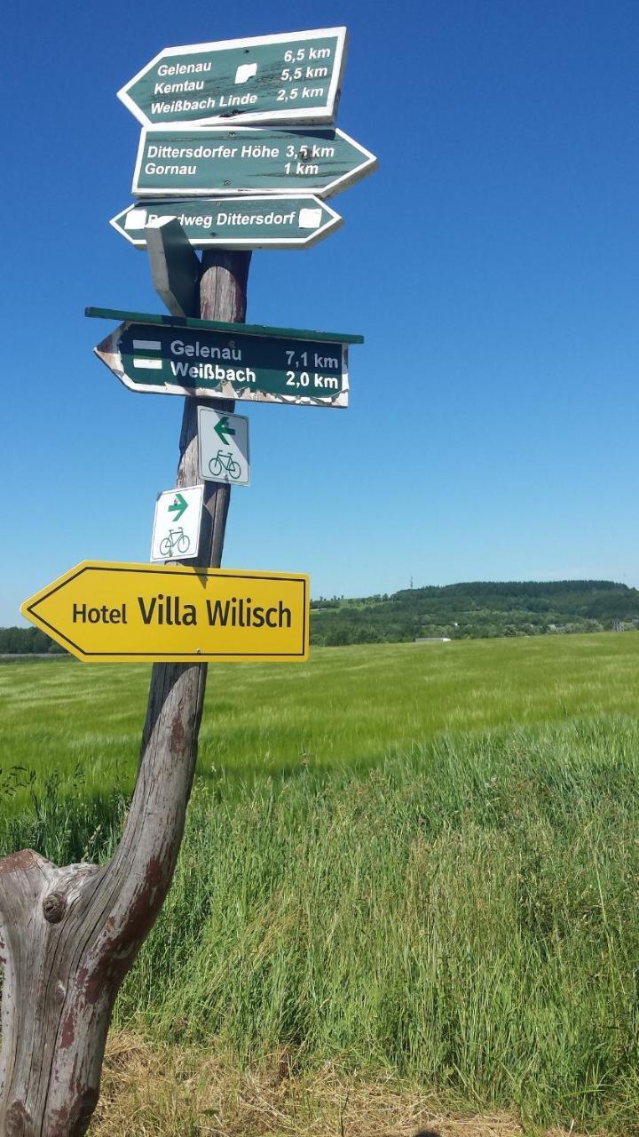Villa Wilisch Amtsberg エクステリア 写真